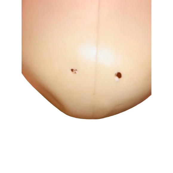 Plastic Skull Halloween Prop With Black Eye Sockets Spooky Decor - Picture 3 of 5